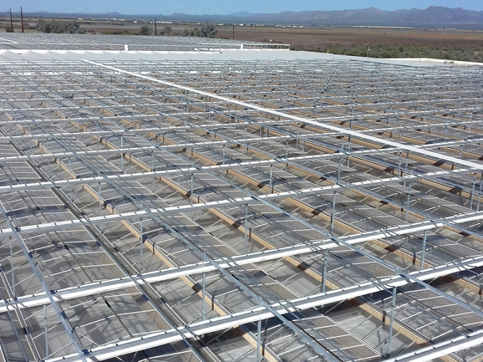 Bayer, Arizona (US)
