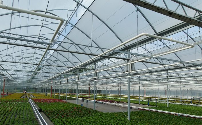 RuBa Baers, Kevelaer (DE)