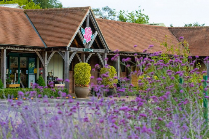 Stewarts Garden Centre, Broomhill (UK)